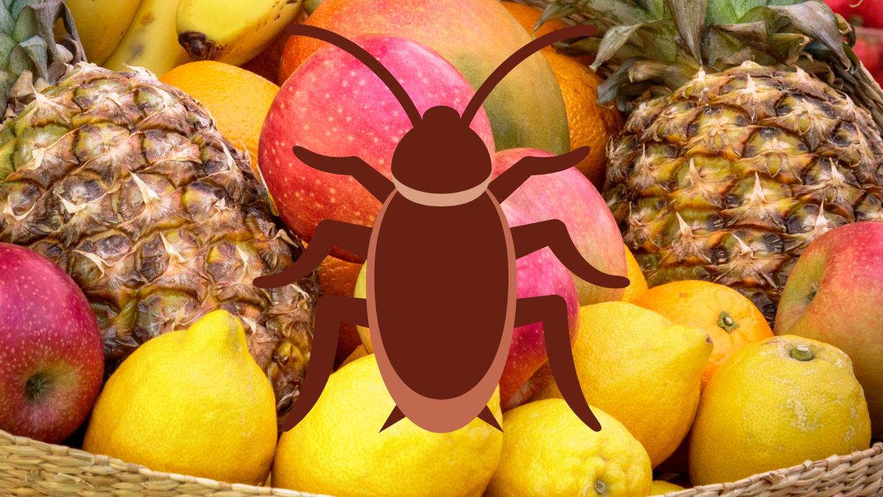 La fruta que debes usar en la cocina y en el baño si quieres eliminar cucarachas